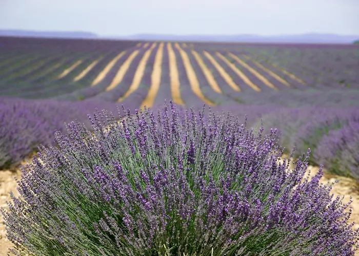 Un Coin De Luberon