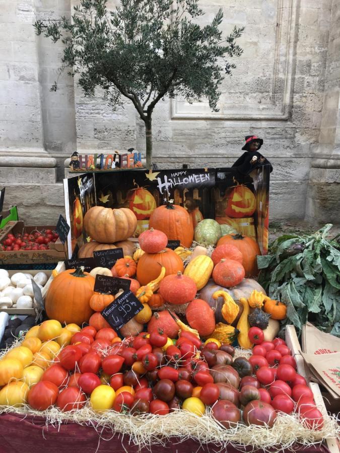 Un Coin De Luberon * LʼIsle-sur-la-Sorgue